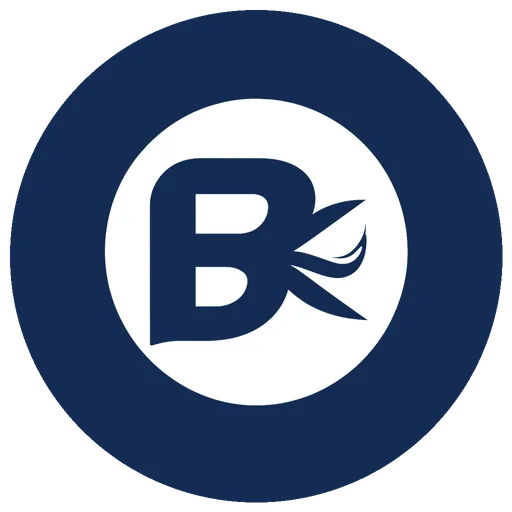 Basant Knit Fab logo